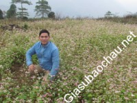 Gia sư giỏi Hội bảo vệ quyền trẻ em Việt Nam chuyên dạy kèm môn Toán